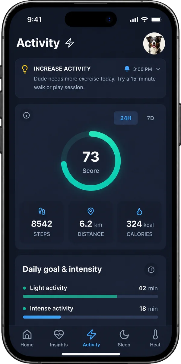 Kipkul app &mdash; Activity screen