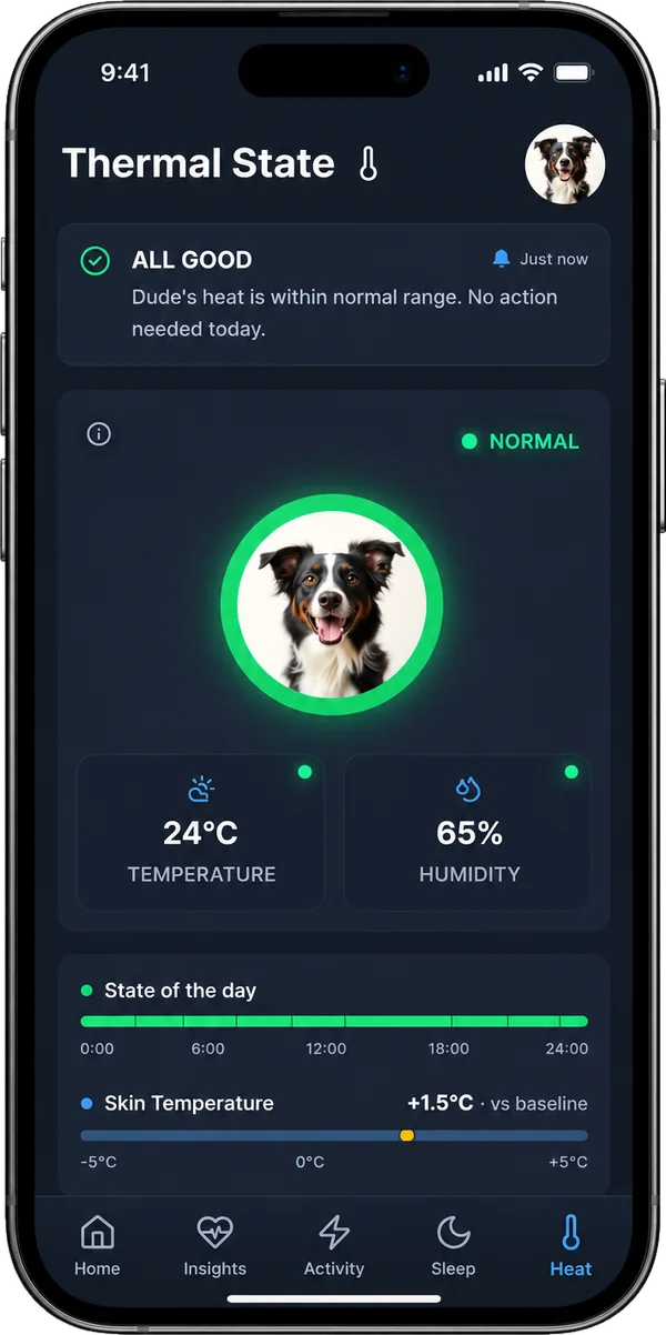 Kipkul app &mdash; Thermal state screen