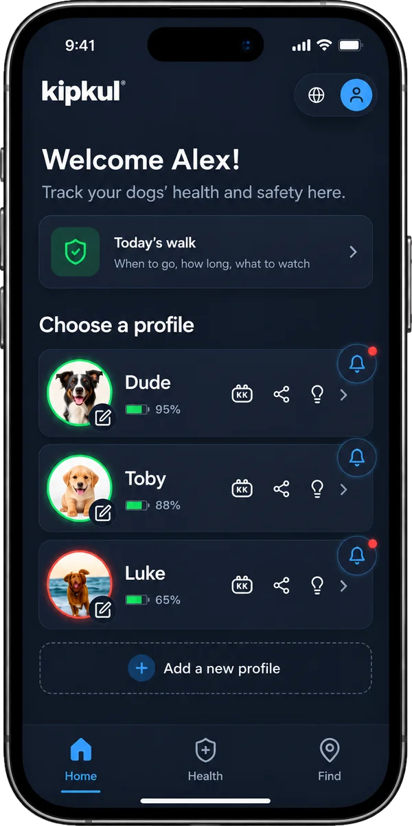 Kipkul app &mdash; Home screen
