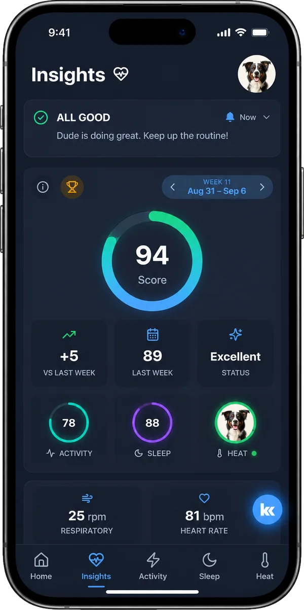 Kipkul app &mdash; Insights screen