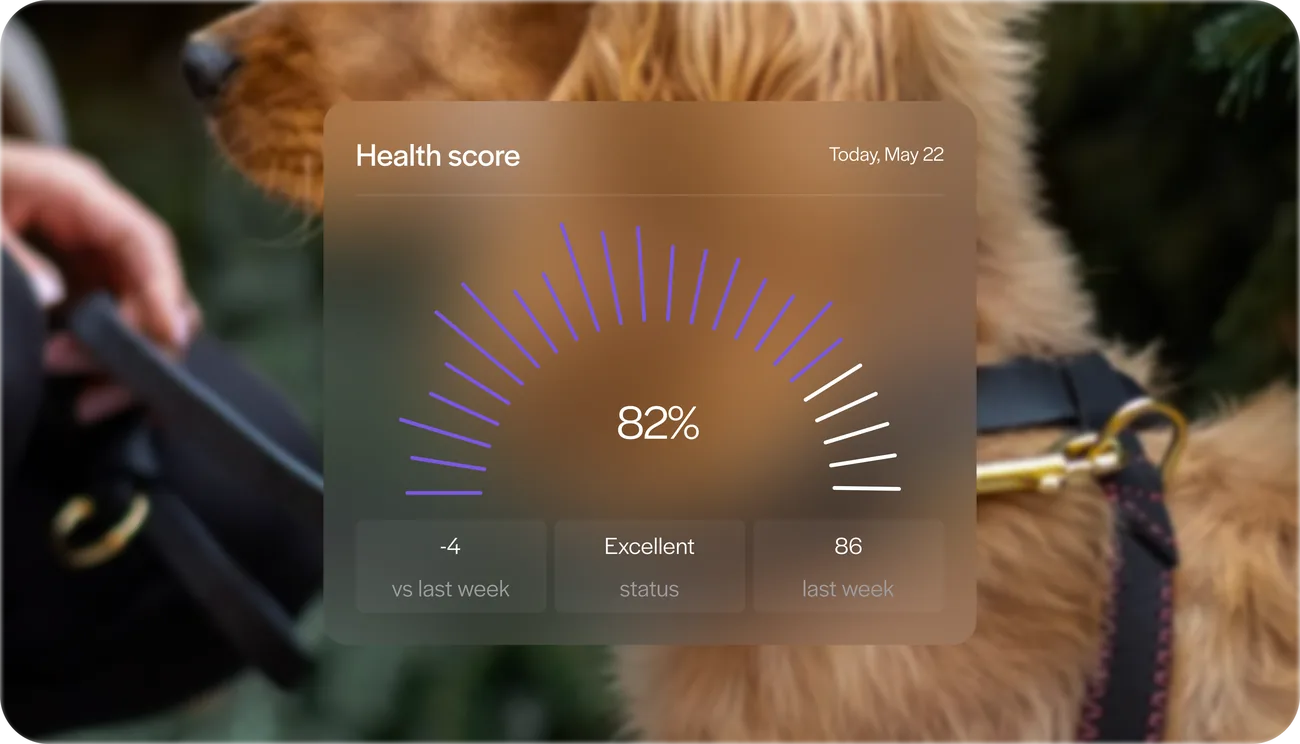 Kipkul: inteligencia preventiva